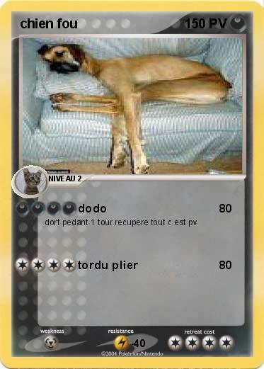 Pokemon chien fou