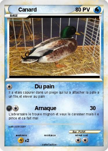 Pokemon Canard