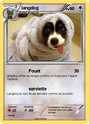 Pokemon langdog