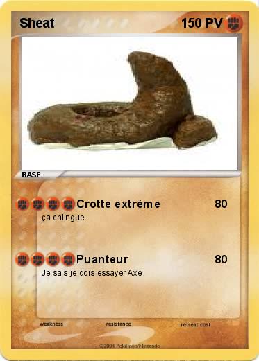 Pokemon Sheat