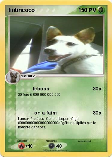 Pokemon tintincoco