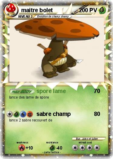 Pokemon maitre bolet