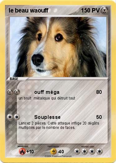 Pokemon le beau waouff