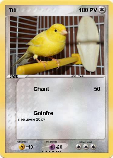 Pokemon Titi