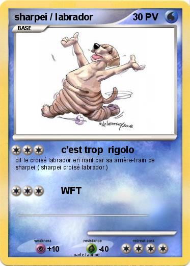Pokemon sharpei / labrador