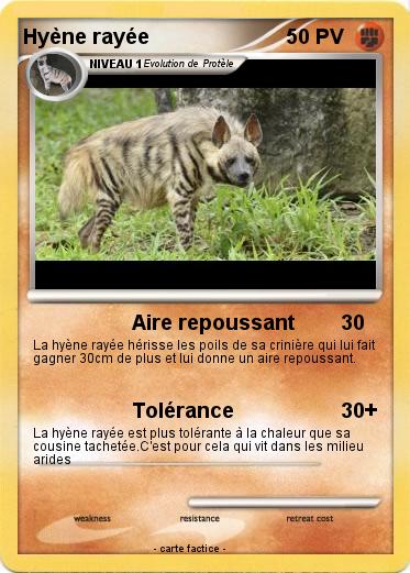 Pokemon Hyène rayée