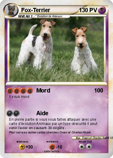 Pokemon Fox-Terrier