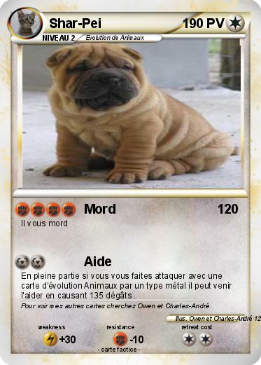 Pokemon Shar-Pei