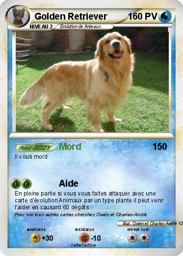 Pokemon Golden Retriever