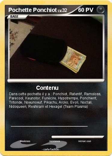 Pokemon Pochette Ponchiot