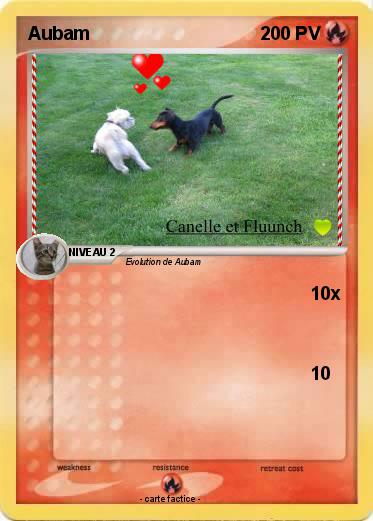 Pokemon Aubam