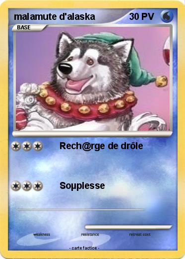 Pokemon malamute d'alaska