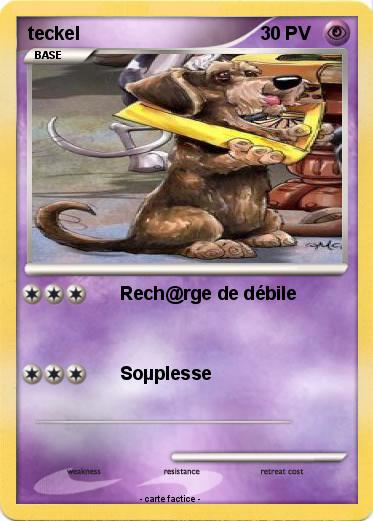 Pokemon teckel