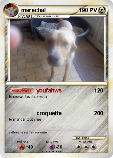 Pokemon marechal