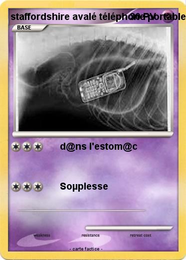 Pokemon staffordshire avalé téléphone portable