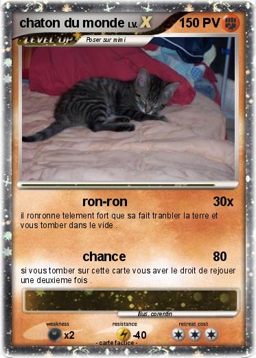 Pokemon chaton du monde