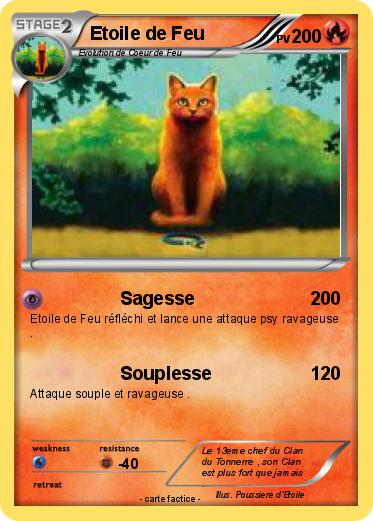 Pokemon Etoile de Feu