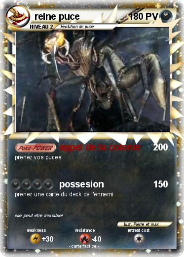 Pokemon reine puce