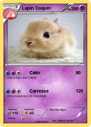 Pokemon Lapin Coquin