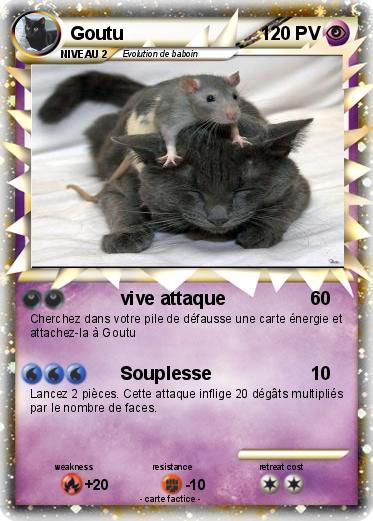 Pokemon Goutu