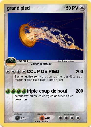 Pokemon grand pied