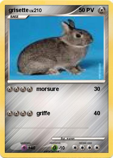 Pokemon grisette