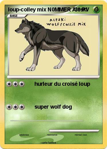 Pokemon loup-colley mix N0MMER Aleski