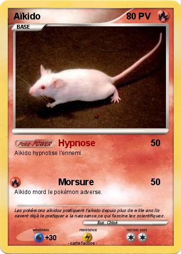 Pokemon Aïkido