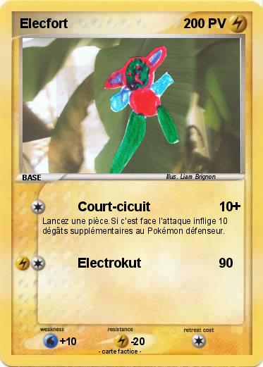 Pokemon Elecfort