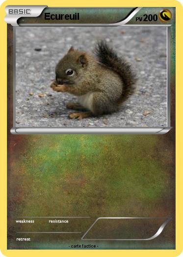 Pokemon Ecureuil