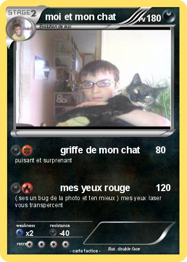 Pokemon moi et mon chat