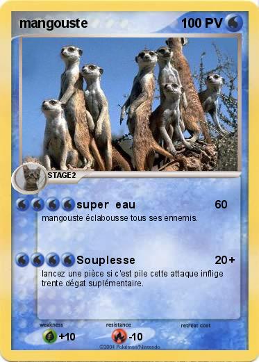 Pokemon mangouste