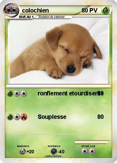 Pokemon colochien