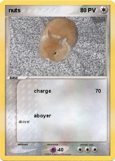 Pokemon nuts