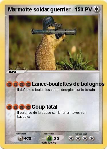 Pokemon Marmotte soldat guerrier