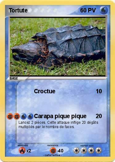 Pokemon Tortute