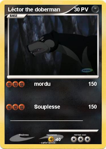 Pokemon Léctor the doberman