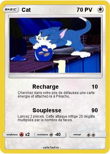 Pokemon Cat