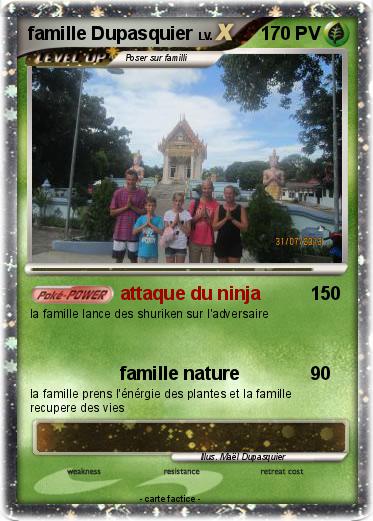Pokemon famille Dupasquier