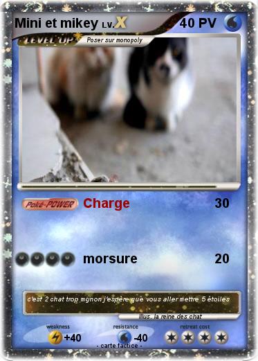 Pokemon Mini et mikey