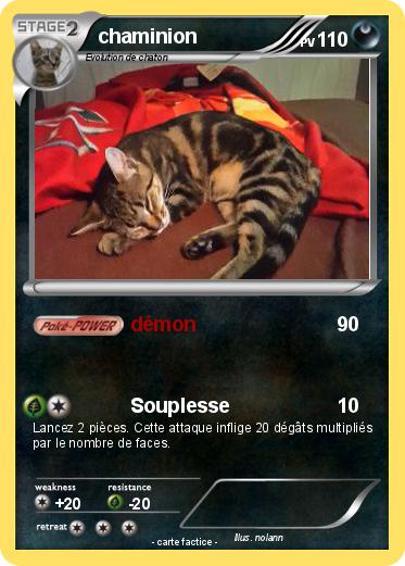 Pokemon chaminion