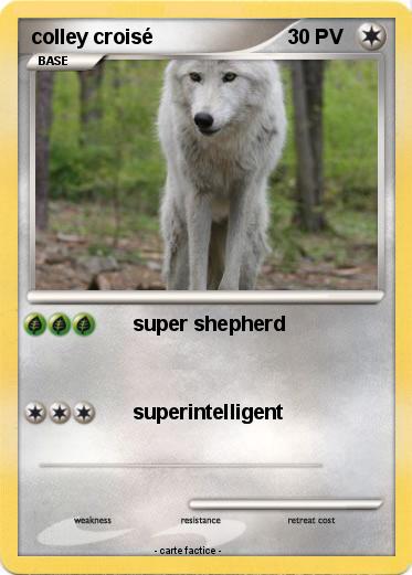 Pokemon colley croisé