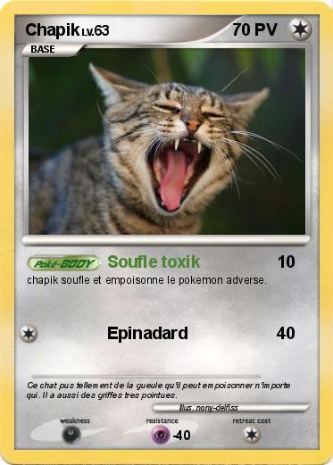 Pokemon Chapik