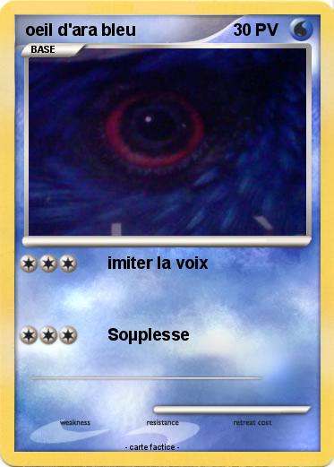 Pokemon oeil d'ara bleu