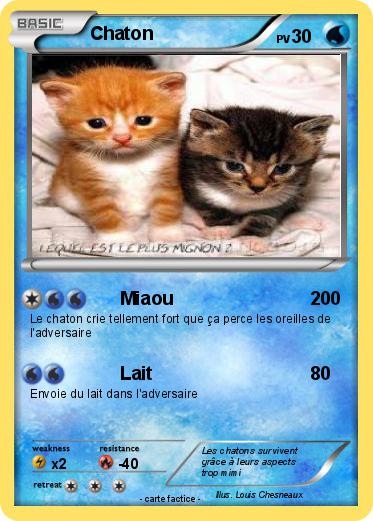 Pokemon Chaton