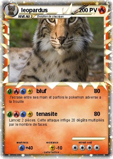 Pokemon leopardus