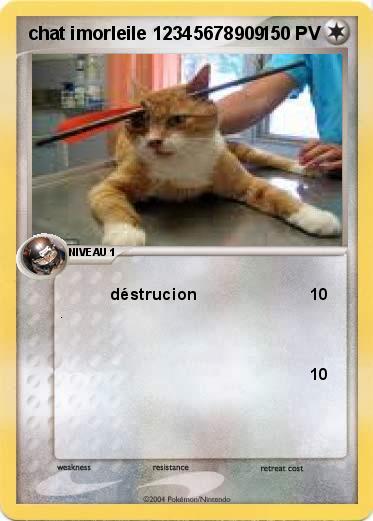 Pokemon chat imorleile 12345678909