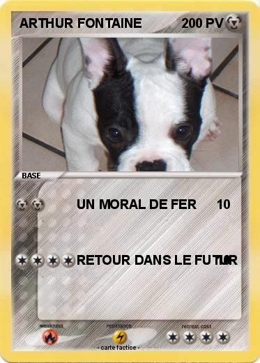 Pokemon ARTHUR FONTAINE
