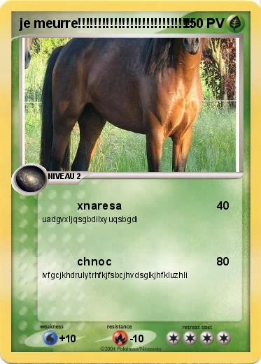 Pokemon je meurre!!!!!!!!!!!!!!!!!!!!!!!!!!!!!