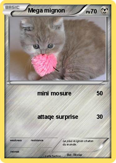 Pokemon Mega mignon